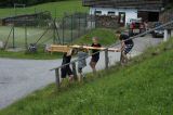 DSC01241.JPG