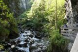 DSC01280.JPG