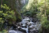 DSC01281.JPG