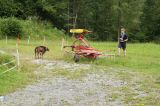 DSC01310.JPG