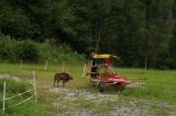 DSC01311.JPG