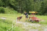DSC01312.JPG