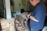 DSC01354.JPG