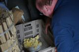 DSC01362.JPG
